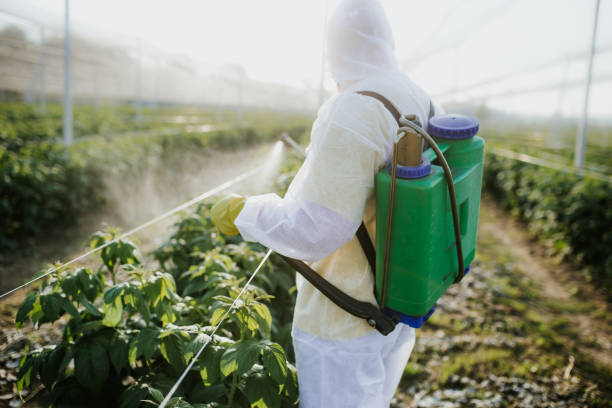 Best Bed Bug Extermination  in Pismo Beach, CA